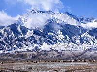 新疆字母圈女s乌鲁木齐女m绳艺kb吐鲁番k9伊犁sp 新疆字母圈女s乌鲁木齐女m绳艺kb吐鲁番k9伊犁sp